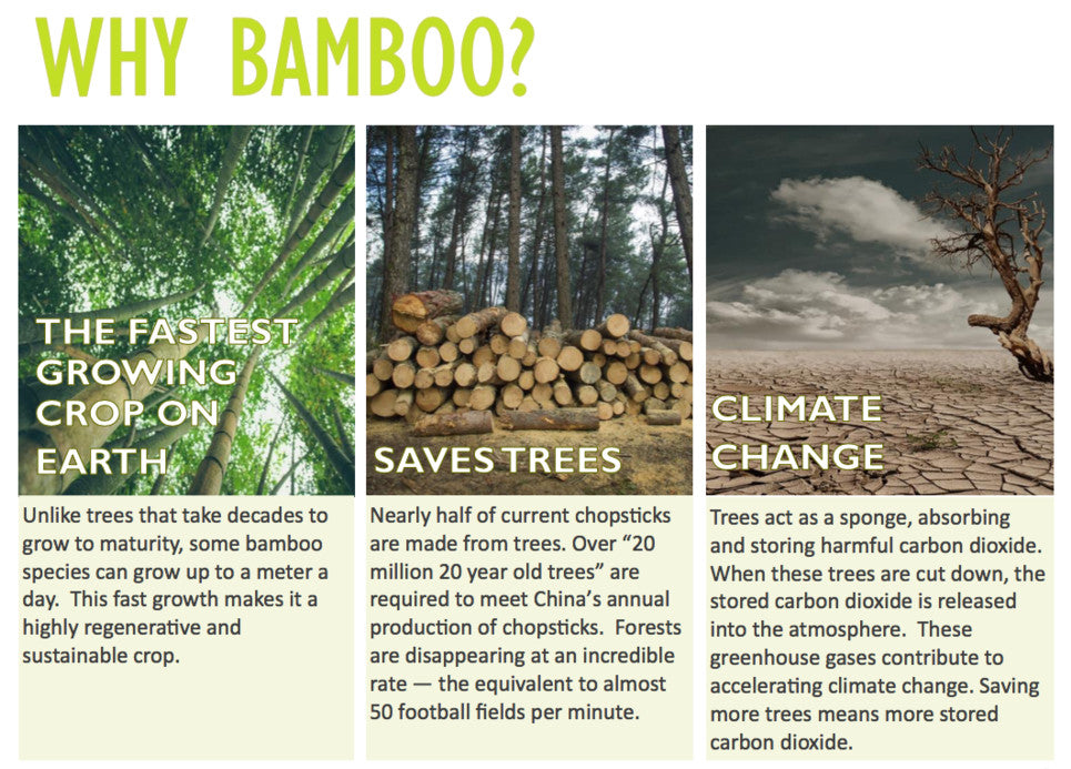 Quick Notes on Bamboo